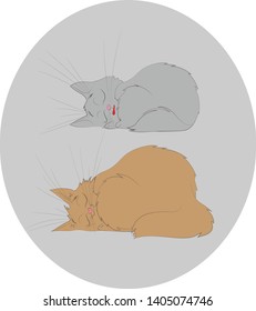 
cute kittens are curled up and sleeping