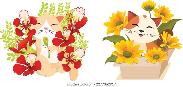 Cute kittens with flower. Mini sunflower. Phoenix flower