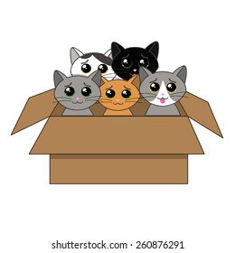 cute kittens looking out of a cardboard box