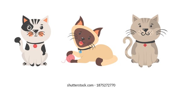 Cute kittens playing, stretching and sleeping. Different amusing pets isolated on white background. Cartoon cat characters collection. Flat color simple style design. Vector illustration, eps 10.