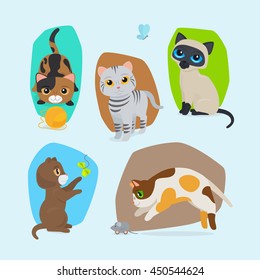 Cute kittens. Vector cute cats isolated illustration set