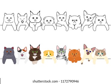 cat border