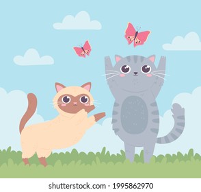 cute kitties playing with butterfly