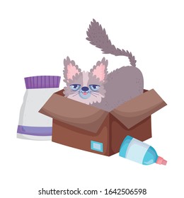 cute kitty in cardboard box with food pets vector illustration