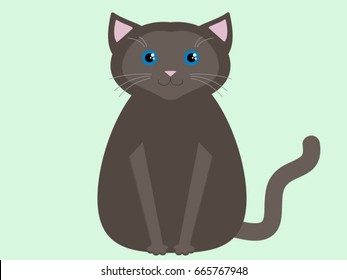 Cute kitty cat with blue eyes vector illustration