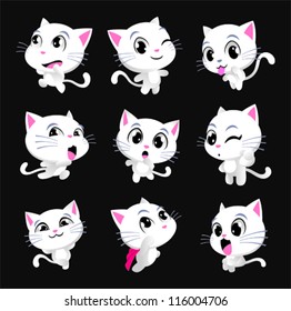 Cute kitty cat poses
