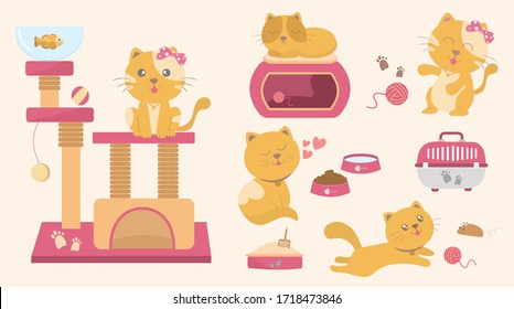 Cute kitty cat vector illustration.Cat toys collection.vector illustration flat design style.Pet shop poster design with many accessories