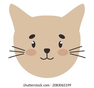 cute kitty face on white background