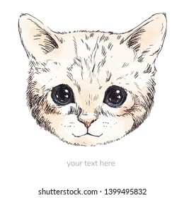 
Cute kitty head hand drawn illustration isolated on white background. Vector.