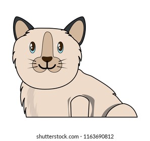 cute kitty icon