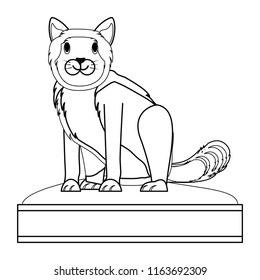 cute kitty icon