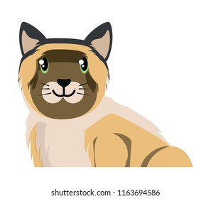 cute kitty icon