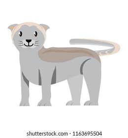 cute kitty icon