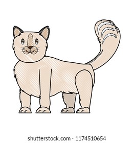 cute kitty icon
