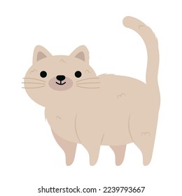 cute kitty icon on white background