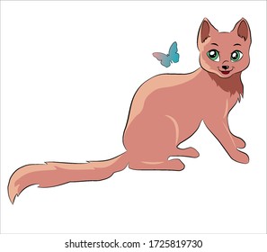 cute kitty plaing with a butterfly 
