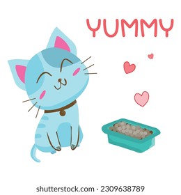 Cute kitty sitting, looking up waiting for yummy isolated on white background. Kitten blue striped posing  Portrait little kitty.