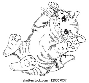 Cute kitty.  Vector doodle sketch cat