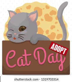 Cute kitty winking at you, inside a cardboard box promoting pets adoption and much love for them during Cat Day celebration.