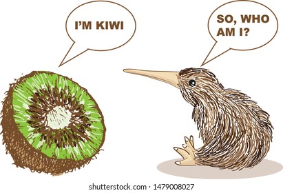 kiwi bird drawing