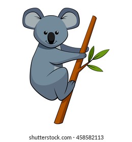 Cute koala