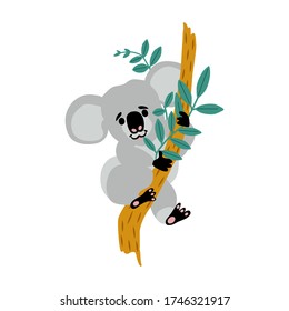 Cute koala baby cartoon flat style illustration. Little australian animal sits on eucalyptus tree. Small bear-like koala logo design.