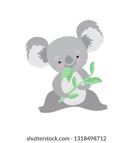 Cute Koala Bear Eating Eucalyptus Leaves, Funny Grey Animal Character Vector Illustration