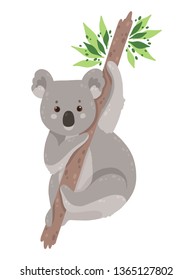 Cute koala bear isolated on white background. Elegant summer vector in trendy style. Can be used poster, greeting card, gift, banner, textile, T-shirt, mug.