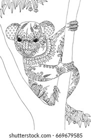 Cute koala bear on eucalyptus tree, page for adult colouring book, vector design