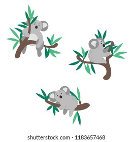 Cute koala bear set climbing on eucalyptus tree vector clipart.