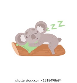 Cute Koala Bear Sleeping on Tree Branch, Funny Grey Animal Character Vector Illustration