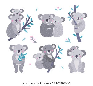 Cute koala bears vector collection. Australian animals wildlife illustration set. Koala family, mother and baby on white background