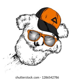 Cute koala cap and glasses. Bear. Australia. Vector illustration for postcard or poster, print for clothes.