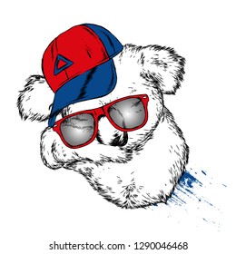 Cute koala cap and glasses. Bear. Australia. Vector illustration for postcard or poster, print for clothes.