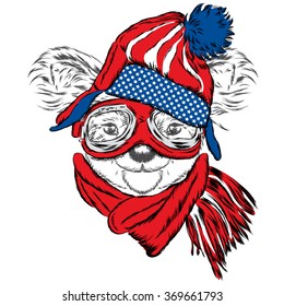 Cute koala in a cap and scarf. Koala vector. Greeting card with bear. Australia. Winter. Skier.