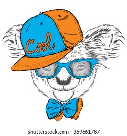 Cute koala in a cap and a tie. Australia.