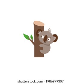 Vector de caricatura cute koala sobre fondo blanco
