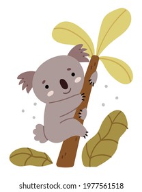 The cute koala climbed a tree.Cute baby illustration. Koala hugs eucalyptus.