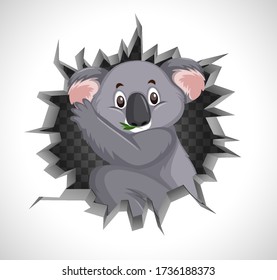 Cute koala kommt aus einer gecrackten Wandbild