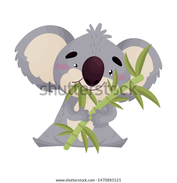 Cute Koala Eats Bamboo Leaves Vector Stock Vector (Royalty Free