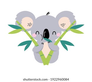 Cute Koala with Eucalyptus Branches, Lovely Australian Animal Cartoon Character Vector Illustration