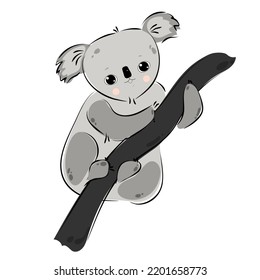 Cute koala.  Funny bear for  print.