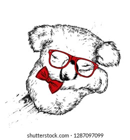 Cute koala in glasses and bow. Bear. Australia. Vector illustration for postcard or poster, print for clothes.