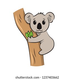 Cute koala hanging on eucalyptus tree. Cartoon character. Hand drawn vector illustration.