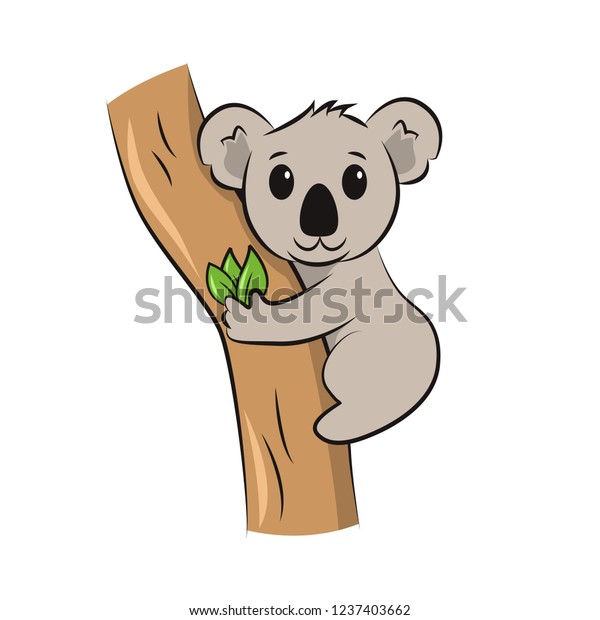 Cute Koala Hanging On Eucalyptus Tree Stock Vector Royalty Free