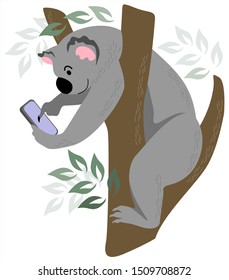 Cute koala lies on a branch, with a phone in its paws.