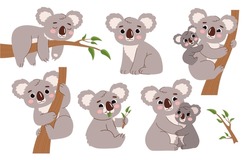 Cute Koala On Branch Set. Tropical And Exotic Adorable Animals. Asian Fauna And Wild Life. Biology And Zoology. Mother With Kid. Cartoon Flat Vector Collection Isolated On White Background