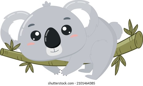 
Cute koala on a eucalyptus branch.Koala isolated on white background.Vector illustration