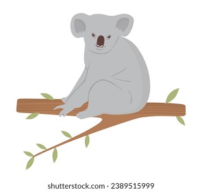 Cute Koala on Tree Branch. Flat illustration of wild Australian marsupial animal isolated on white background. Beautiful and cartoon Koala sitting on a tree branch. Wildlife Vector illustration