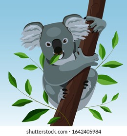 Cute koala on a tree and eats a leaf, Australian bear.  Wildlife, zoology, nature. Vector illustration. EPS10